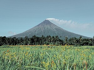 马荣火山前方的稻田