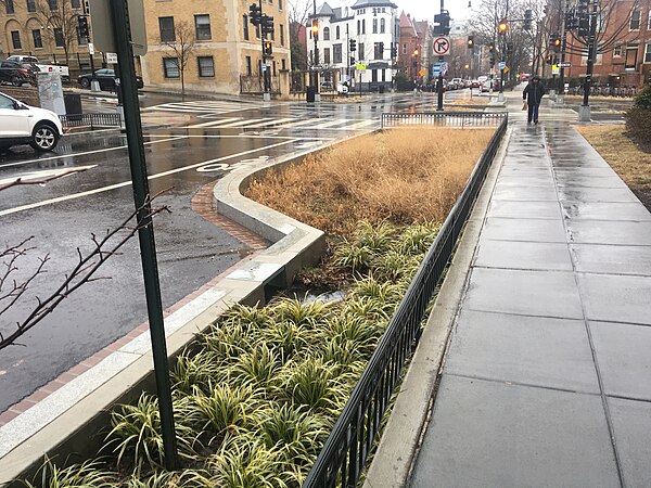 Runoff from the vicinity flows into an adjacent bioswale