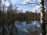 Zones humides du parc national de Meshcheyora