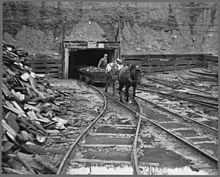 S. C. Streams Black Diamond Mine, Creekside, Pennsylvania (1946) Mine portal with ponies. S. C. Streams Black Diamond Mine, Creekside, Indiana County, Pennsylvania. - NARA - 541530.jpg