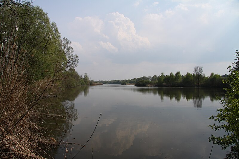 File:Mokriny u Vomacku in spring 2011 (39).JPG