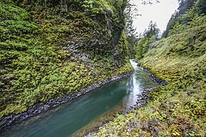 The Molalla River Molalla River (22308261776).jpg