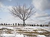 Mount Hope Cemetery.JPG