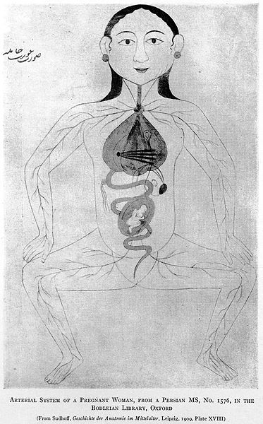 File:NEG BROKEN Wellcome M0000415.jpg