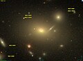 NGC 4889 SDSS.jpg