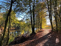 Wupperweg am rechten Ufer der Wupper im NSG Wupper