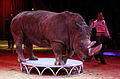 Rhinoceros Circus Krone MARTIN LACEY jr.JPG