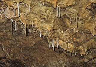 National natural monument Brestovska jaskyna (15).jpg