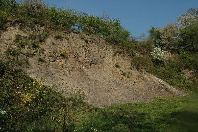 File:Naturalis Biodiversity Center - Cottessergroeve kwartsietgroeve.jpg