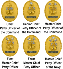 Command Senior Enlisted Leader Identification Badges