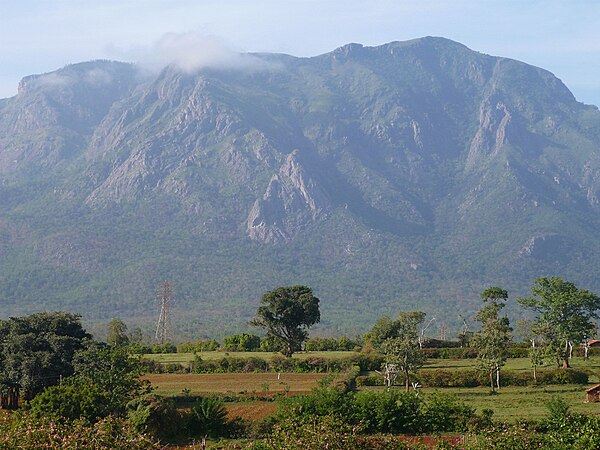 Nilgiri Hills from Masinangudi