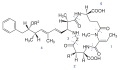 Structure moléculaire générale des nodularines