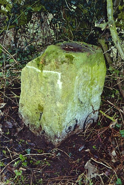 File:Old Milestone by the former A68, north of Witton Bridge (geograph 5624099).jpg