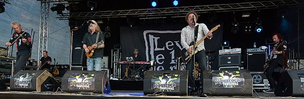 Levellers at Olgas Rock Festival in 2015