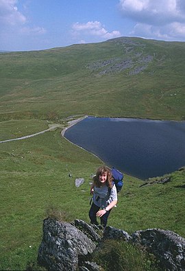 در Pumlumon Fach - geograph.org.uk - 34854.jpg