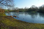 Thumbnail for File:One Island Pond, Mitcham Common (2) - geograph.org.uk - 4294234.jpg
