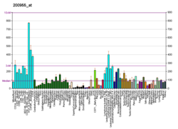 PBB GE IMMT 200955 ב fs.png