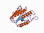 PDB 1bwq EBI.jpg