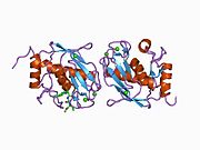 PDB 1c3i EBI.jpg