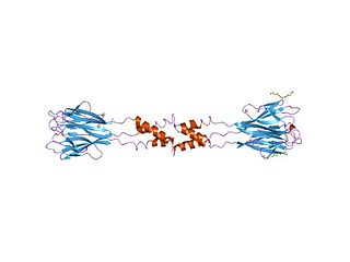 <span class="mw-page-title-main">RETNLB</span> Protein-coding gene in the species Homo sapiens