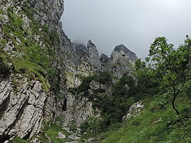 Habitat of S. a. pasubiensis, Monte Pasubio PasubioVFontOro 03.jpg