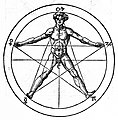 Człowiek wpisany w pentagram, z dzieła Heinricha Corneliusa Agrippy Libri tres de occulta philosophia. Przy wierzchołkach pentagramu umieszczono znaki astrologiczne.