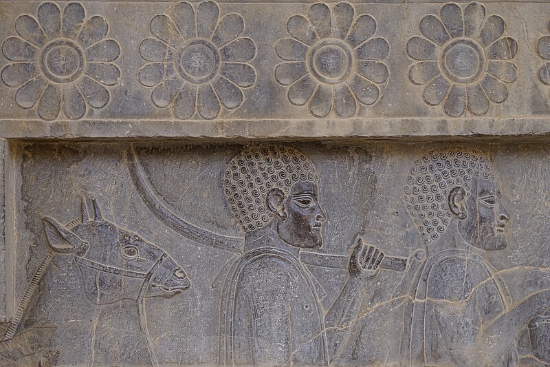 File:Persepolis (20973198639).jpg