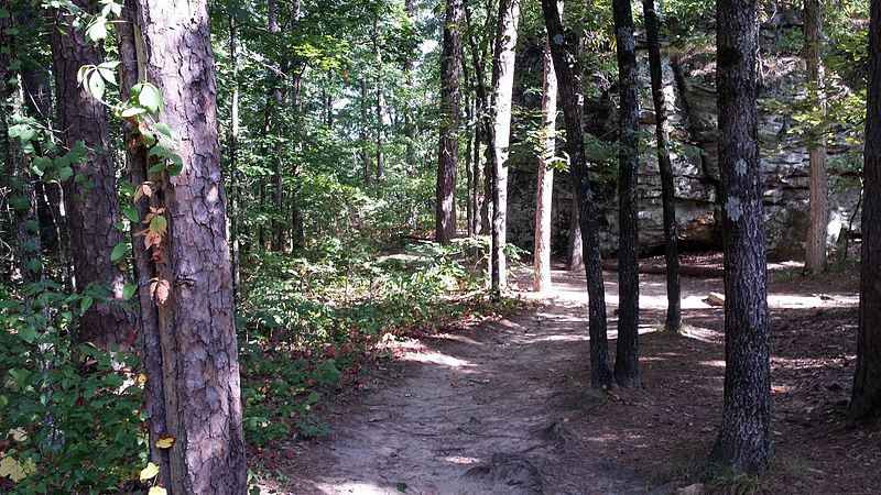 File:Petit Jean State Park 030.jpg