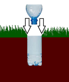 Plastic bottle trap sunk into the ground as a pitfall trap Plastic Pitfall trap.png