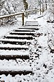 English: Staircase on the forest track Deutsch: Treppe am Waldweg