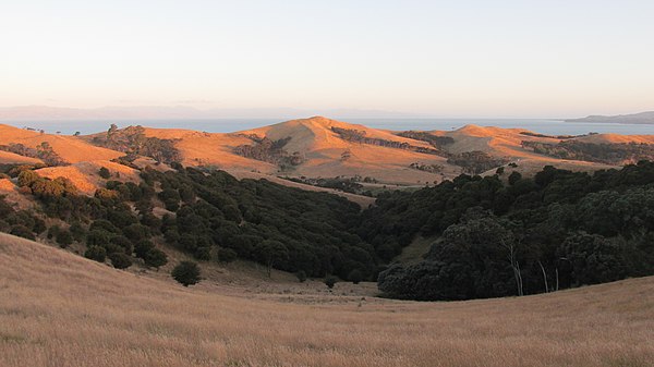 Farmland and native bush on Ponui Island