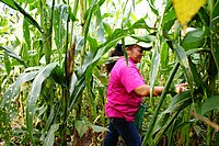 Agricultura ecológica