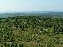 Reste des ursprünglichen Bergwaldes; eine Wiederaufforstung erfolgte hier nicht