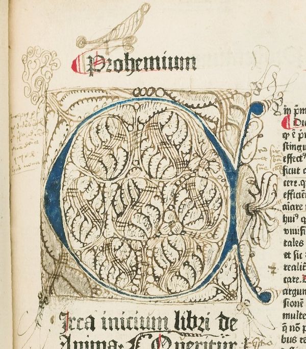 Illumination with doodles and drawings (marginalia), including an open-mouthed human profile, with multiple tongues sticking out. Copulata, "De Anima"