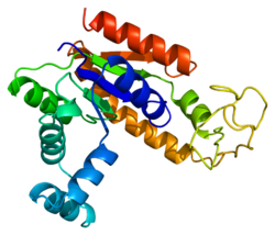 Proteína AK2 PDB 1ak2.png