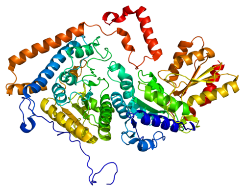 Protein BCKDHB PDB 1dtw.png