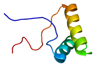 <span class="mw-page-title-main">SF3B2</span>