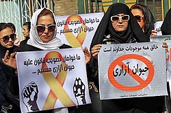 Demonstrations against animal cruelty in Iran Protest against animal abuse in Mashhad (1).jpg