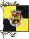 Flag of the concelhos soure