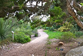 Illustrasjonsbilde av varen San Diego Botanical Garden