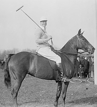 <span class="mw-page-title-main">Rodolphe L. Agassiz</span> American polo player and businessman