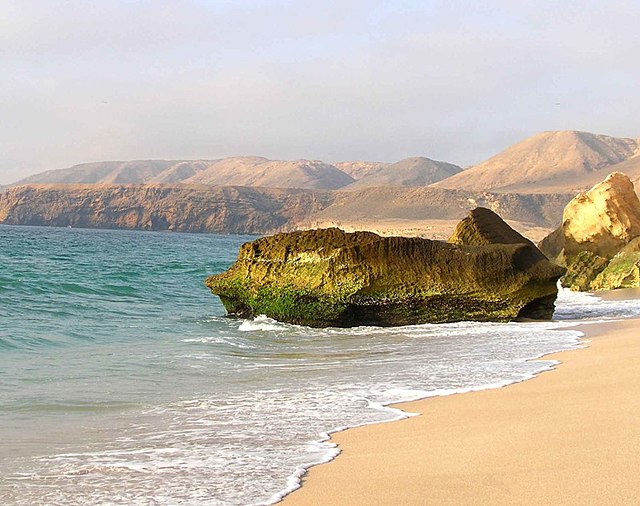 Ras al-Jinz in southeastern Arabia (Oman), also known as the 'Turtle Beach'