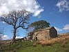 Roantree, Dentdale.jpg