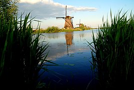 Bassin, à Kinderdijk.