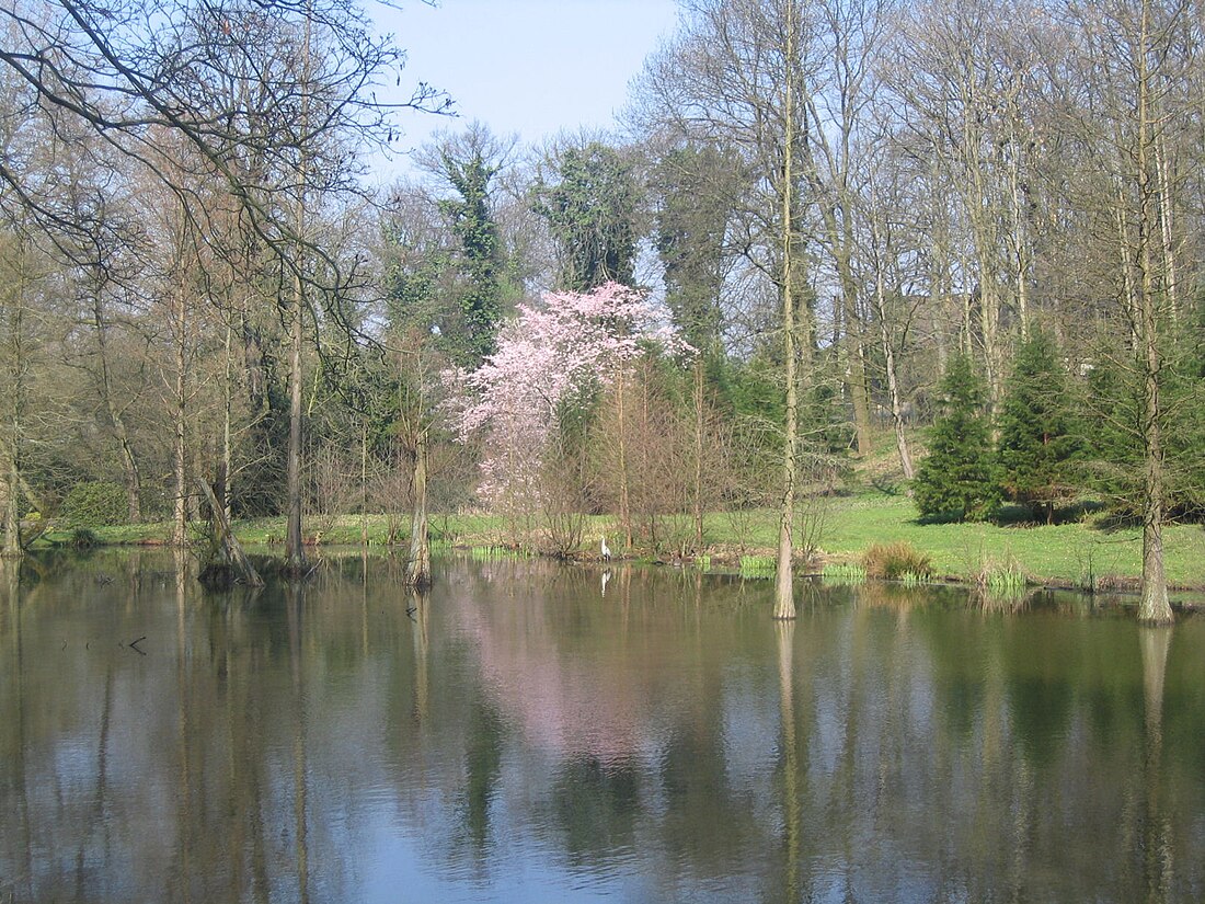 Rombergpark