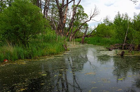 Рудава (річка, Словаччина)