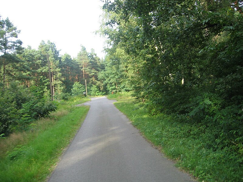 File:Ruhland, alte „Poststraße“ (nach Ortrand), Westansicht zum Sieggraben.jpg