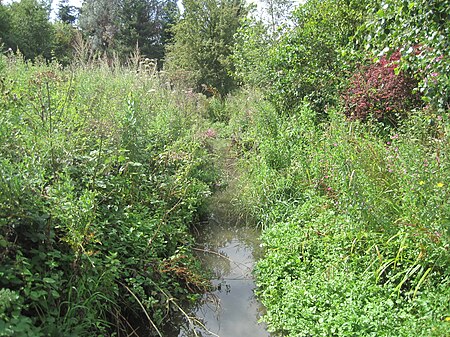 SAFFRON GREEN MIMMSHALL BROOK