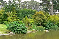 サンフランシスコ植物園