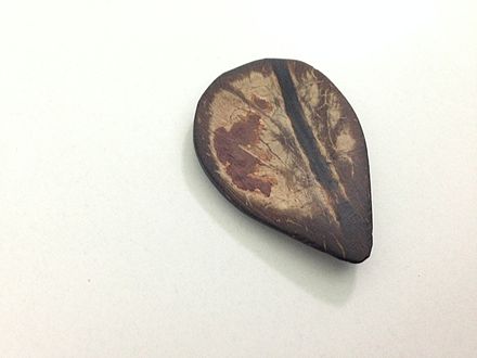 A traditional hand crafted coconut shell sarod plectrum, also known as a Javva